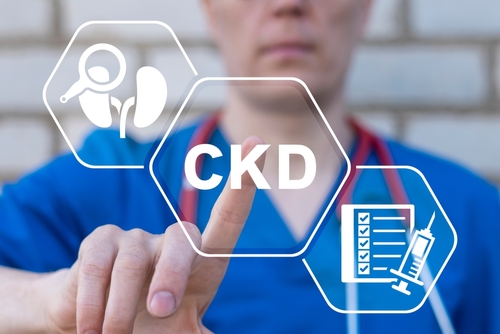 ckd ginjal